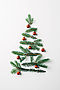 stock-photo-top-view-pine-branches-arranged.jpg