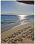 summer_photo.jpg
