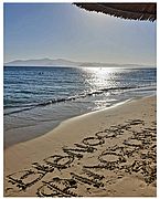 summer_photo.jpg